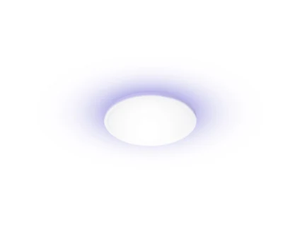 Inteligentna lampa sufitowa Yeelight Light C2201C300