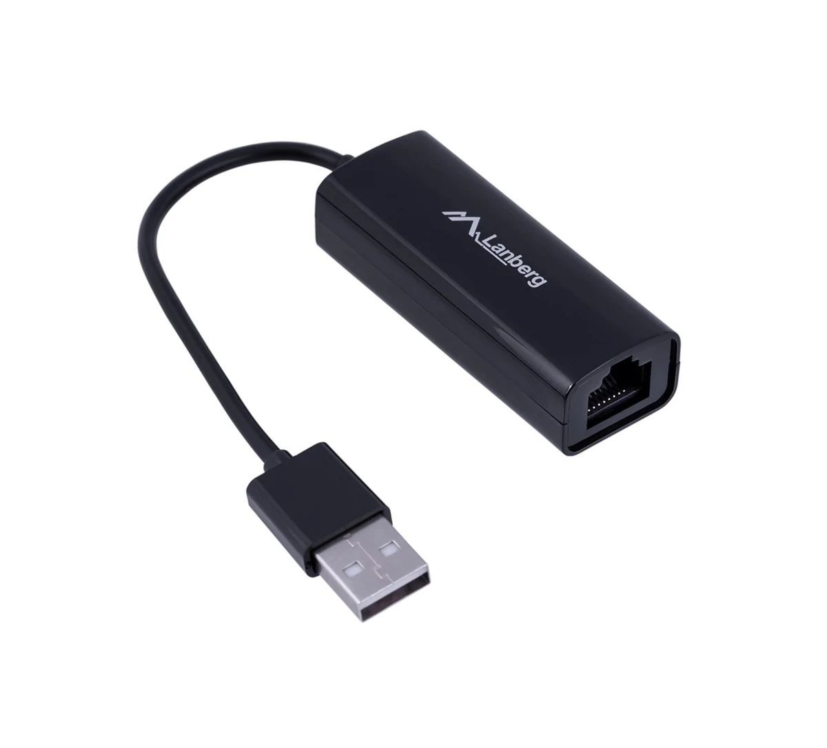 Karta sieciowa Lanberg NC-0100-01 USB 2.0
