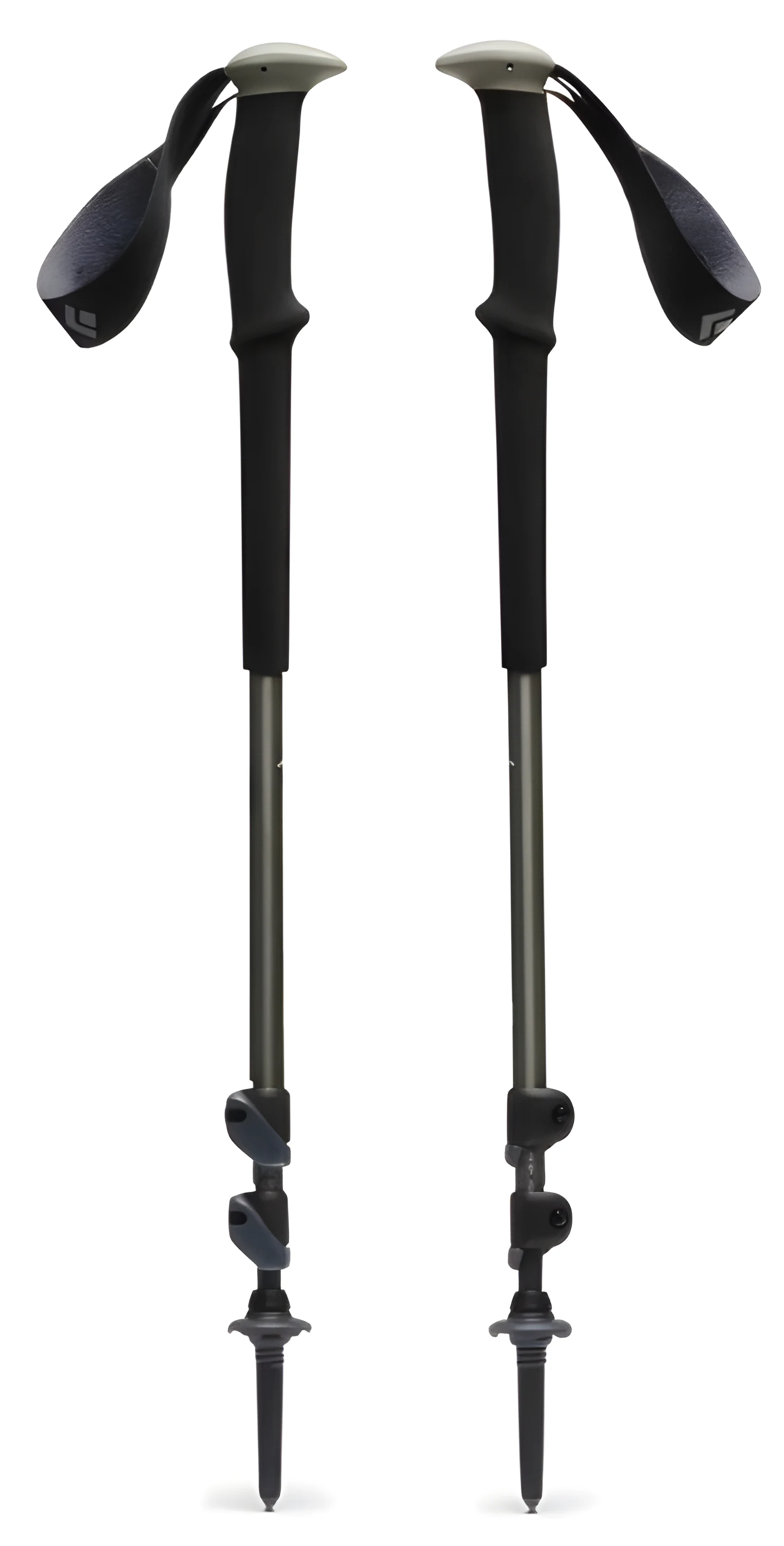 Kije trekkingowe Black Diamond Trail 100-140cm, pine smoke — zdjęcie 1 z 4