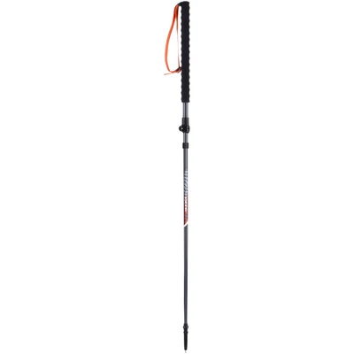 Kije VIKING Mission FS skitourowe szare UNI