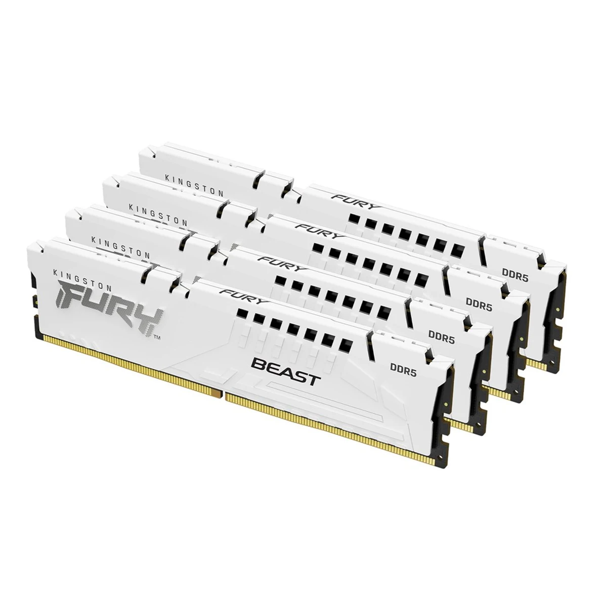 Kingston FURY Beast DDR5 White
