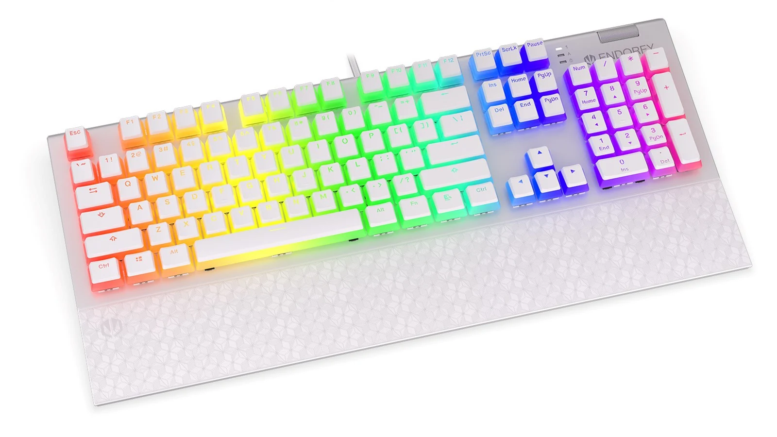 Klawiatura mechaniczna ENDORFY Omnis Pudding Onyx White Blue RGB — zdjęcie 1 z 8