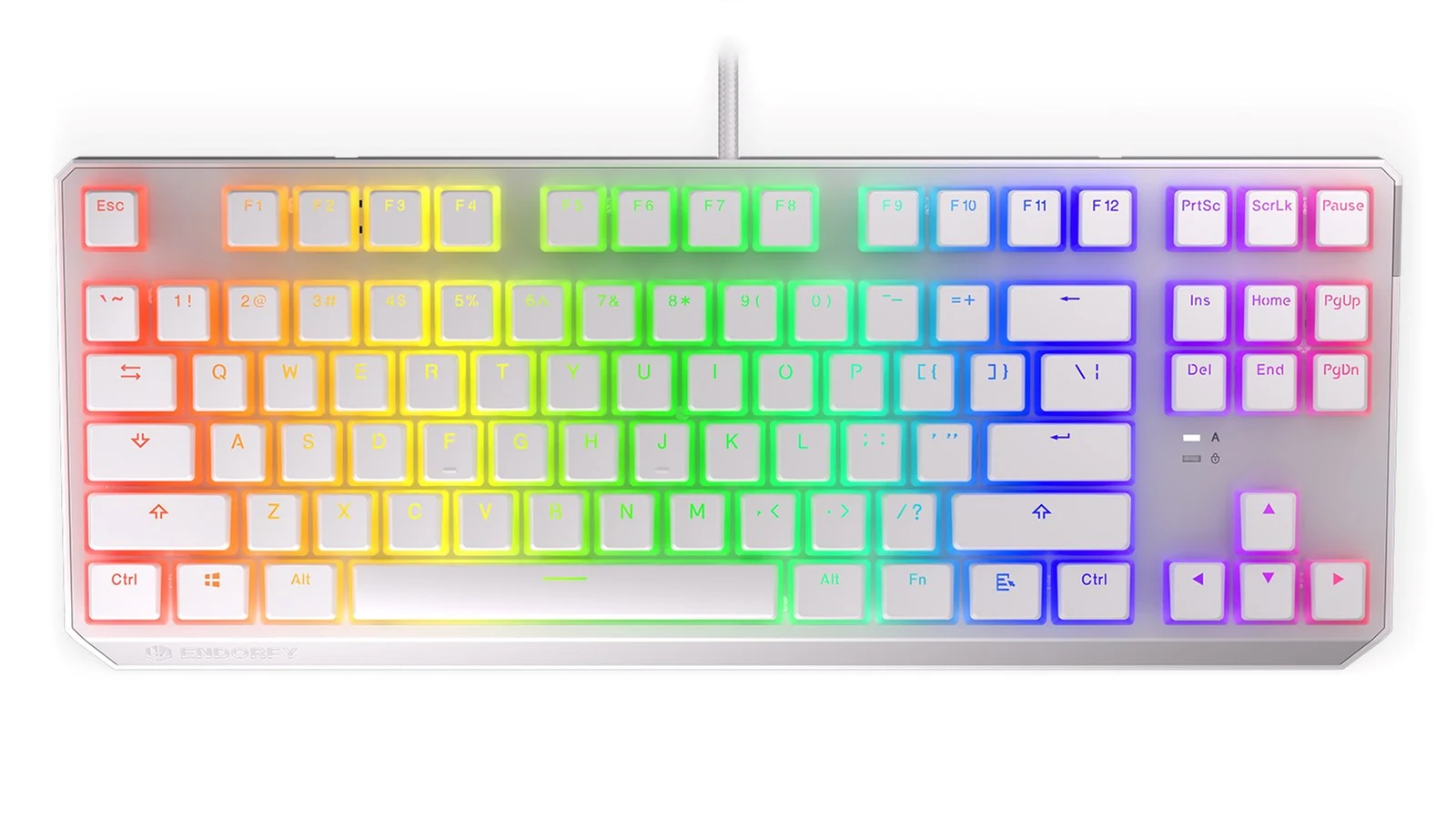 Klawiatura mechaniczna ENDORFY Thock TKL Onyx White Blue RGB — zdjęcie 1 z 8