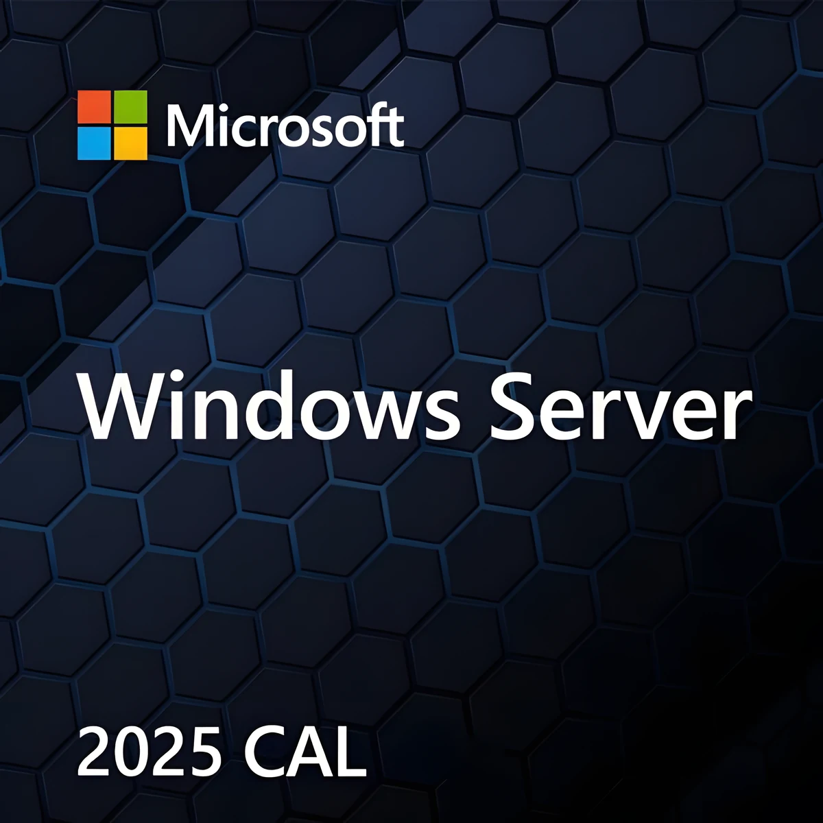 Microsoft Windows Server CAL 2025 PL - 5-stanowiskowa licencja dostępu dla użytkowników (OEM)