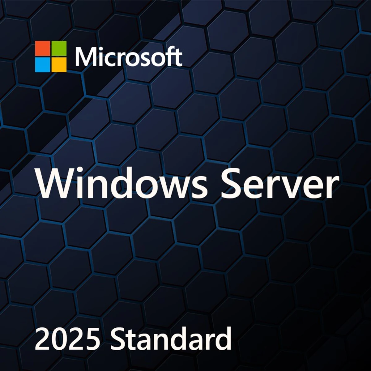Microsoft Windows Server Standard 2025 64-bit PL (DVD)