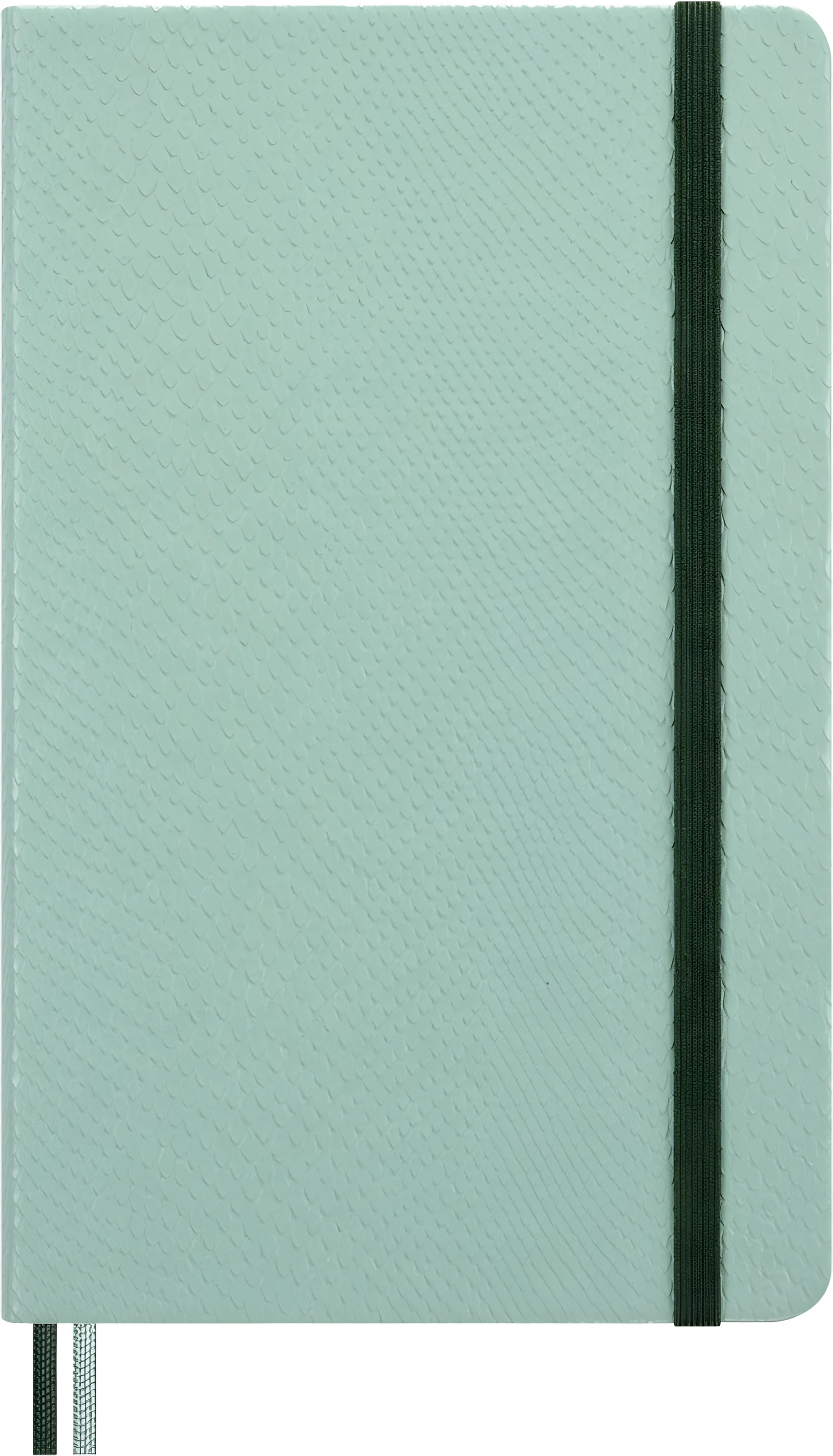 Moleskine Notes Year of the Snake. Okladka Sztywna — zdjęcie 1 z 8