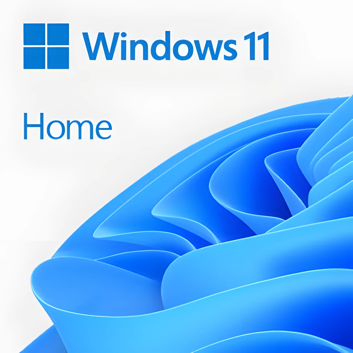 System operacyjny Microsoft Windows 11 Home 64-bitowy, polska wersja językowa, wersja OEM na płycie DVD