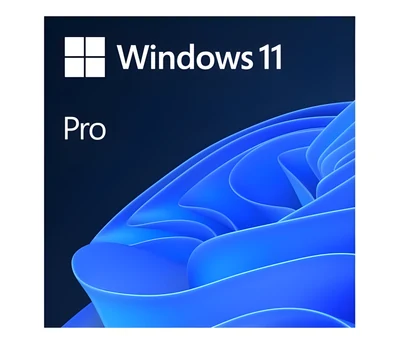 System operacyjny Microsoft Windows 11 Professional 64-bit PL (wersja pudełkowa)