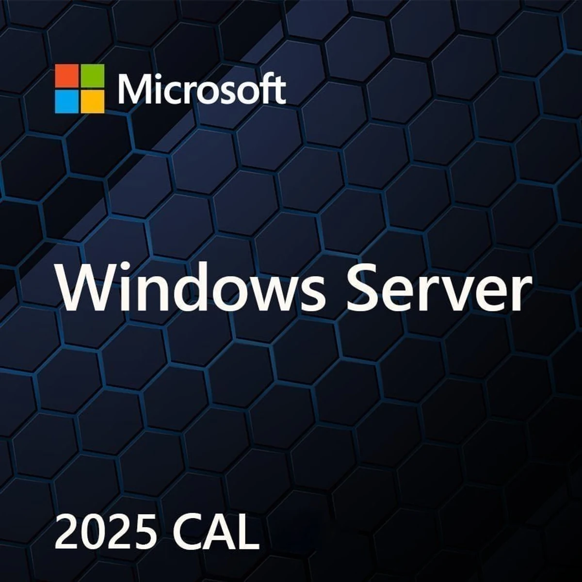 Licencja dostępowa MS Windows Server 2025 PL dla 5 urządzeń (Device CAL) - OEM