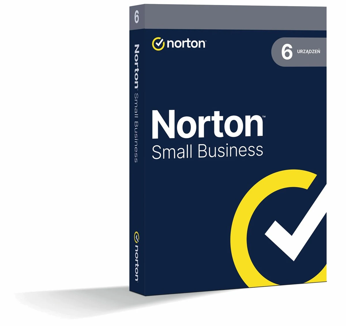 NORTON SMALL BUSINESS 2.0 250GB PL