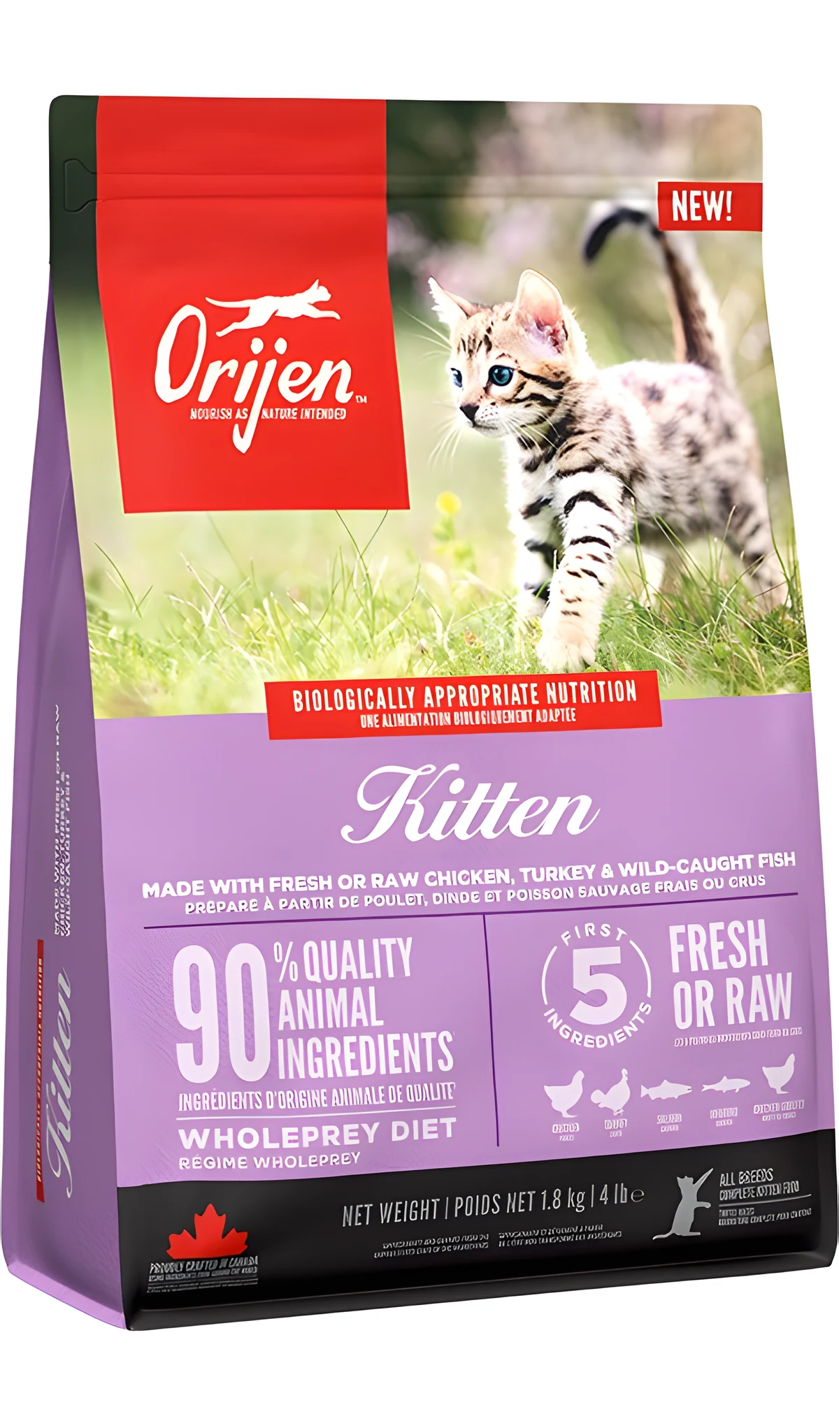ORIJEN Kitten Sucha Karma 1,8kg dla Kociąt