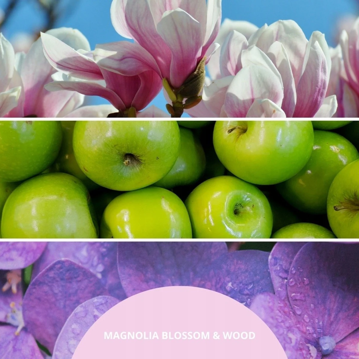 Pałeczki zapachowe 250ml MAGNOLIA BLOSSOM & WOOD MILLEFIORI