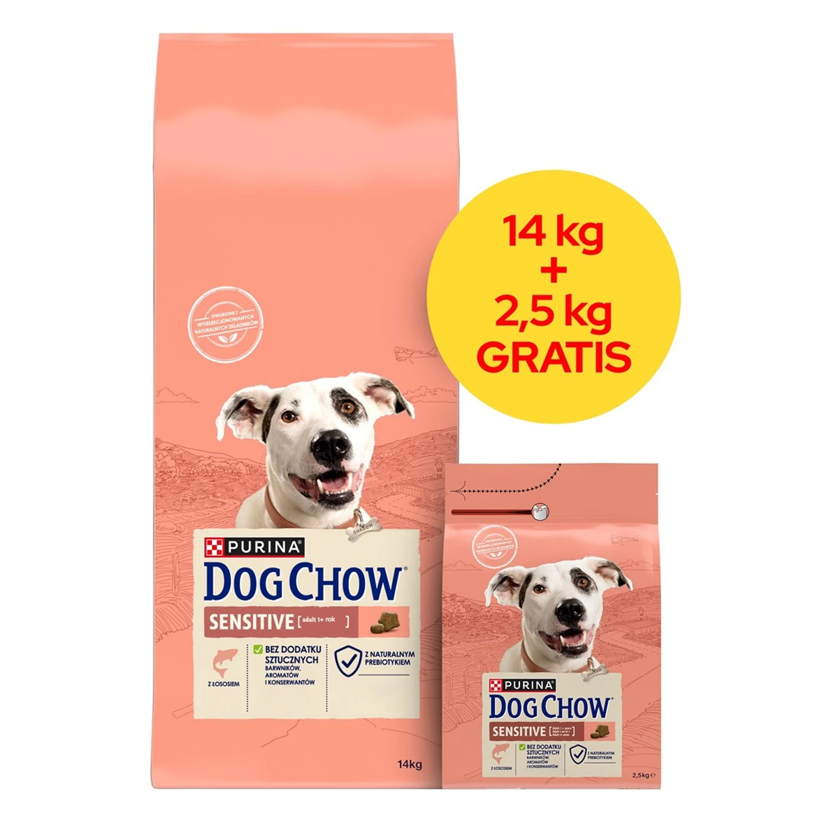 PURINA DOG CHOW SENSITIVE Łosoś 14+2,5kg — zdjęcie 1 z 5