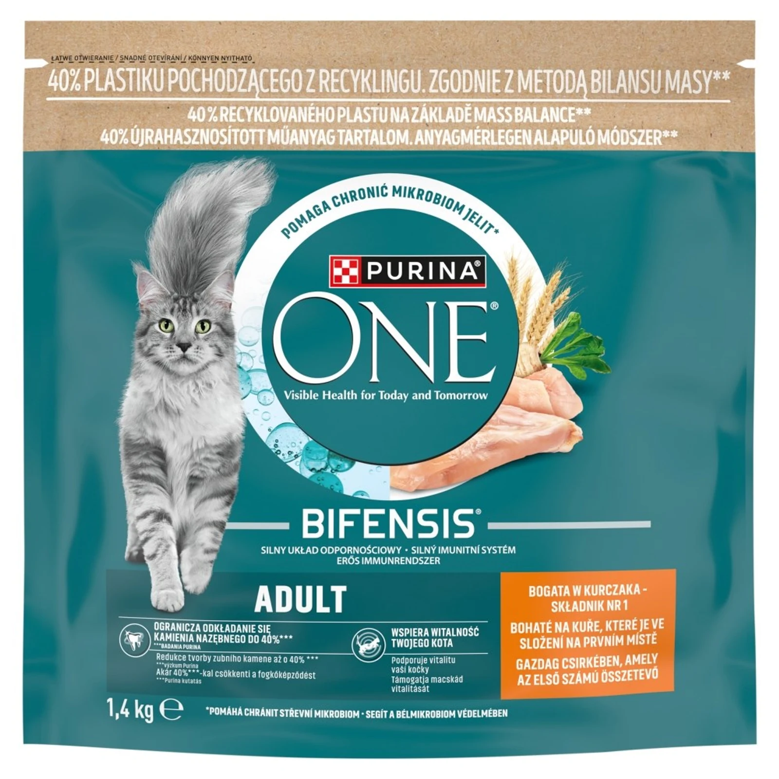 Purina ONE ADULT Kot Kurczk&PłneZiarna 1,4kg