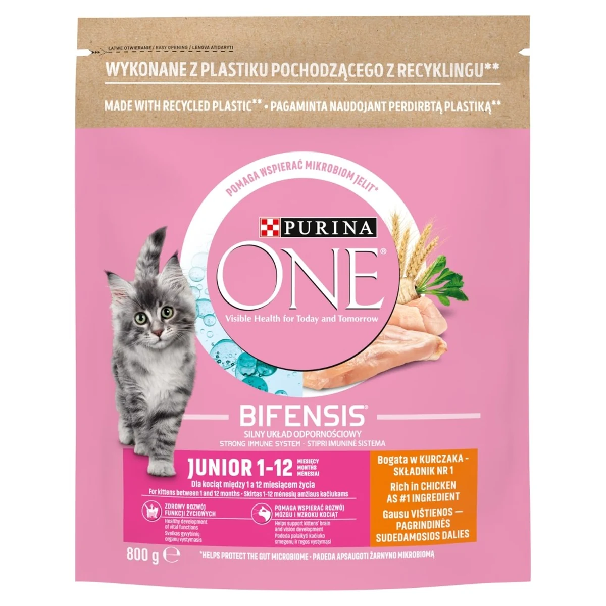 PURINA One Bifensis Junior - 800 g