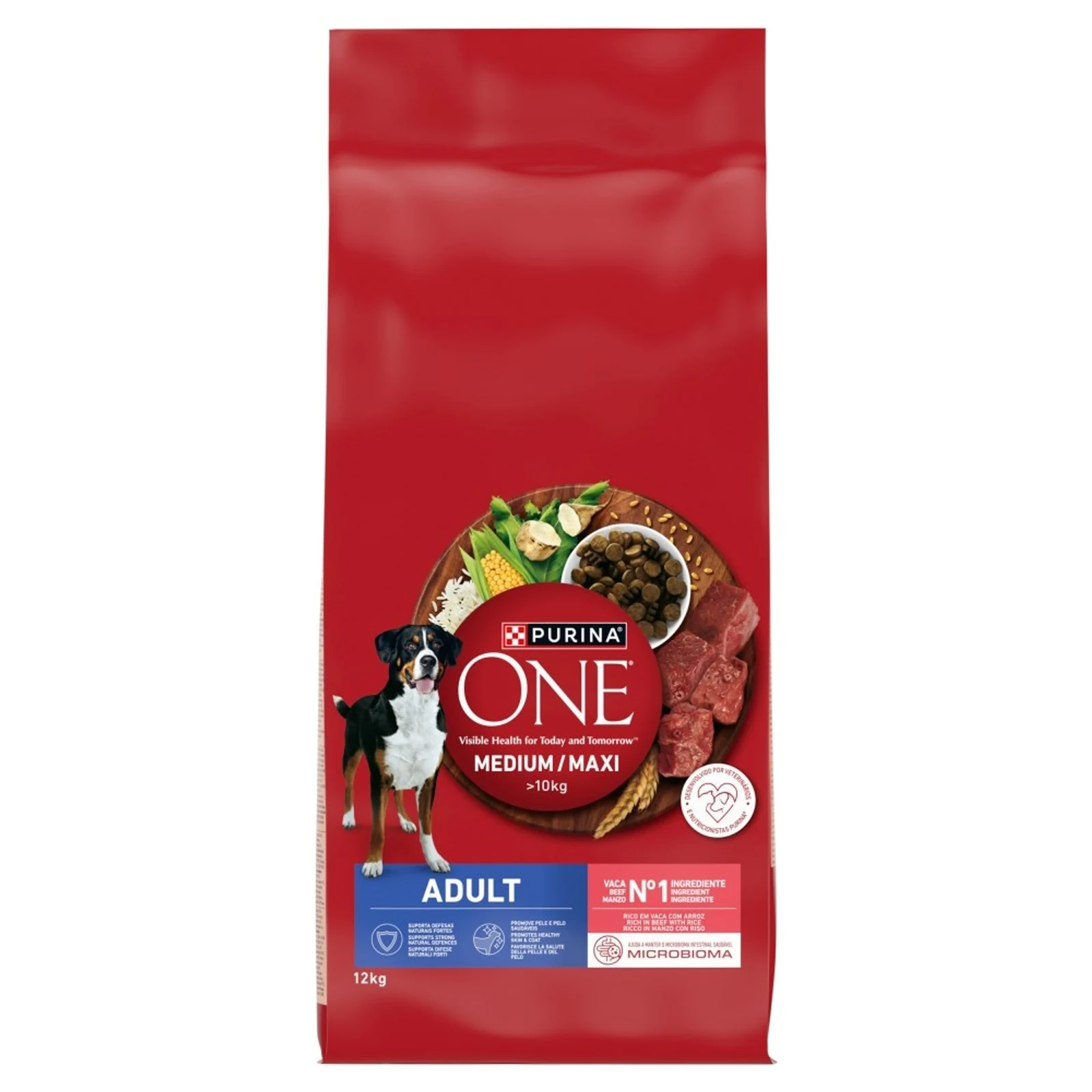 Purina ONE Adult, karma sucha dla psów, wołowina i ryż, 12 kg — zdjęcie 1 z 3
