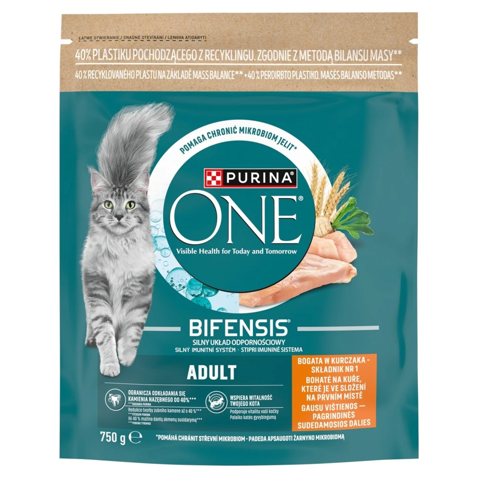 Purina One Mini Active bogata w kurczak z ryż 750g