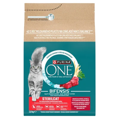 Purina ONE Sucha Karma dla Kota z Wołowiną i Pszenicą 2,8kg