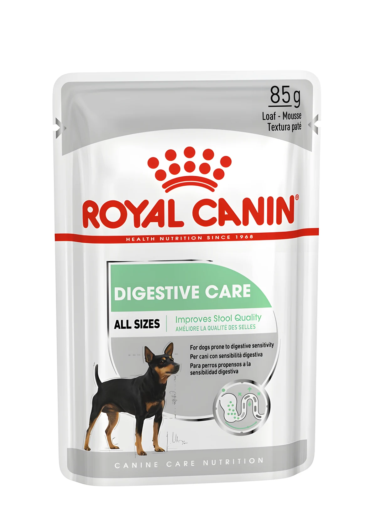 ROYAL CANIN CCN DIGESTIVE CARE LOAF 12x85g