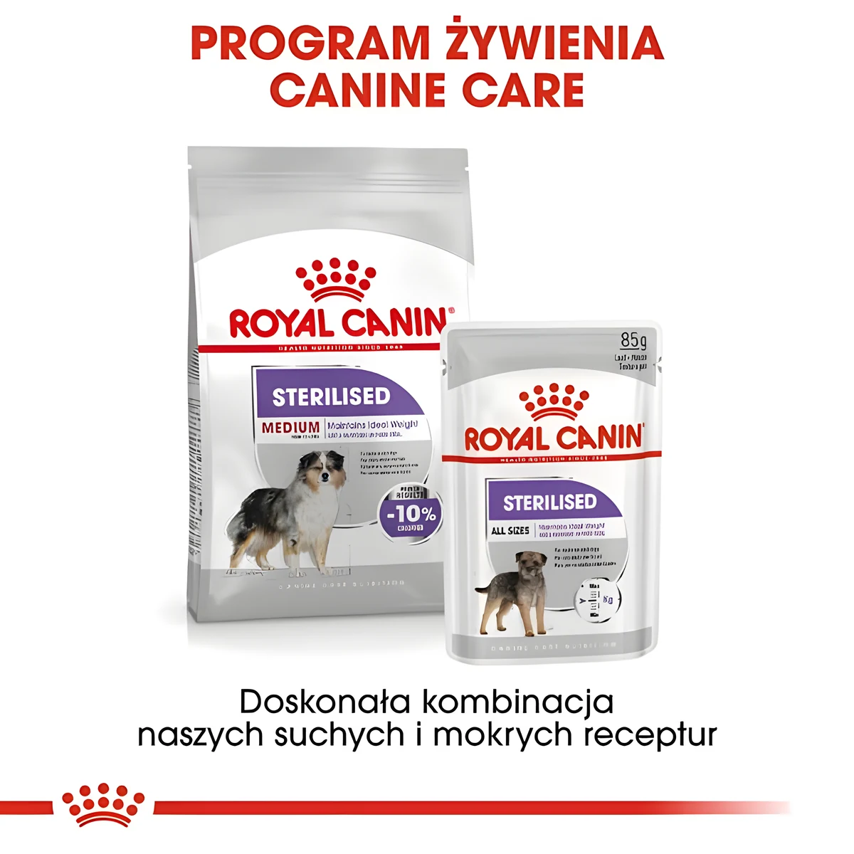 ROYAL CANIN CCN Medium Sterilised Adult - Sucha Karma 12 kg