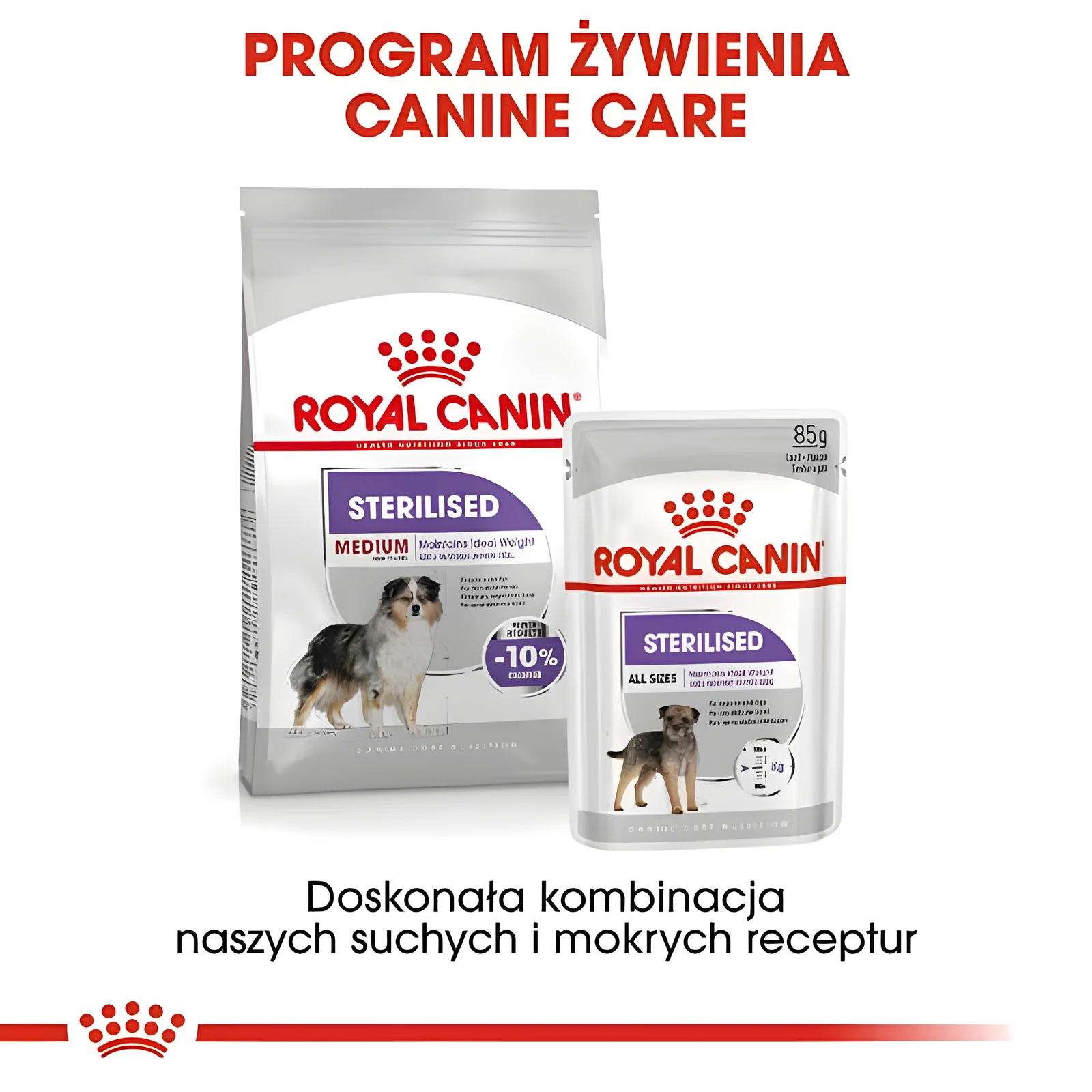 ROYAL CANIN CCN Medium Sterilised Adult - Sucha Karma 12 kg — zdjęcie 1 z 8