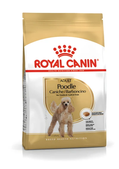 Karma sucha Royal Canin Poodle 1,5 kg - dla psów rasy pudel, mini i XS