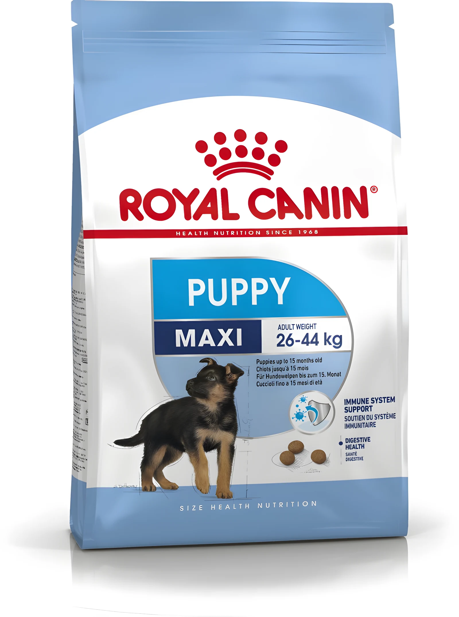 ROYAL CANIN SHN Maxi Puppy - Sucha Karma 4kg