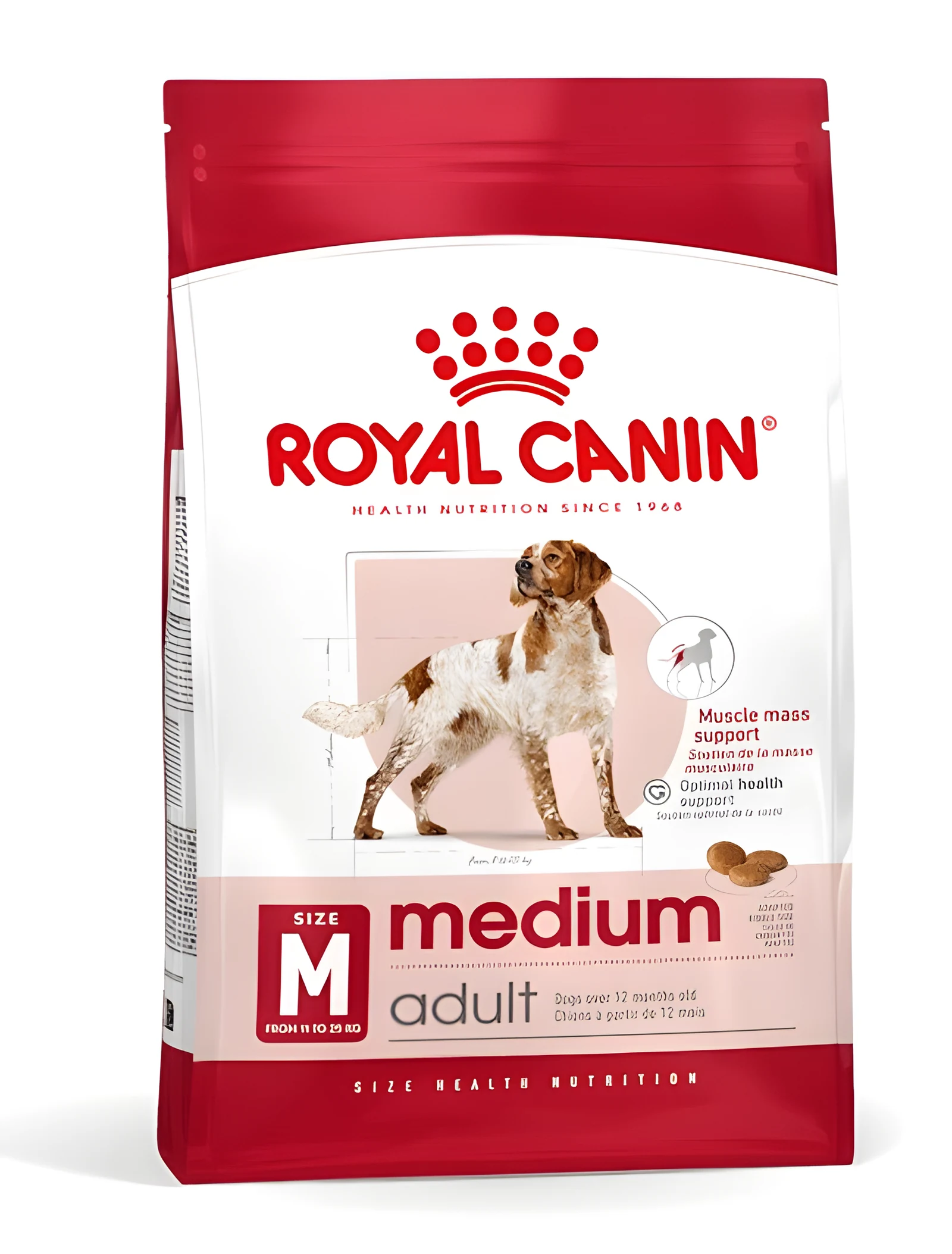 ROYAL CANIN SHN Medium Adult BF 15kg - Karma Sucha — zdjęcie 1 z 8