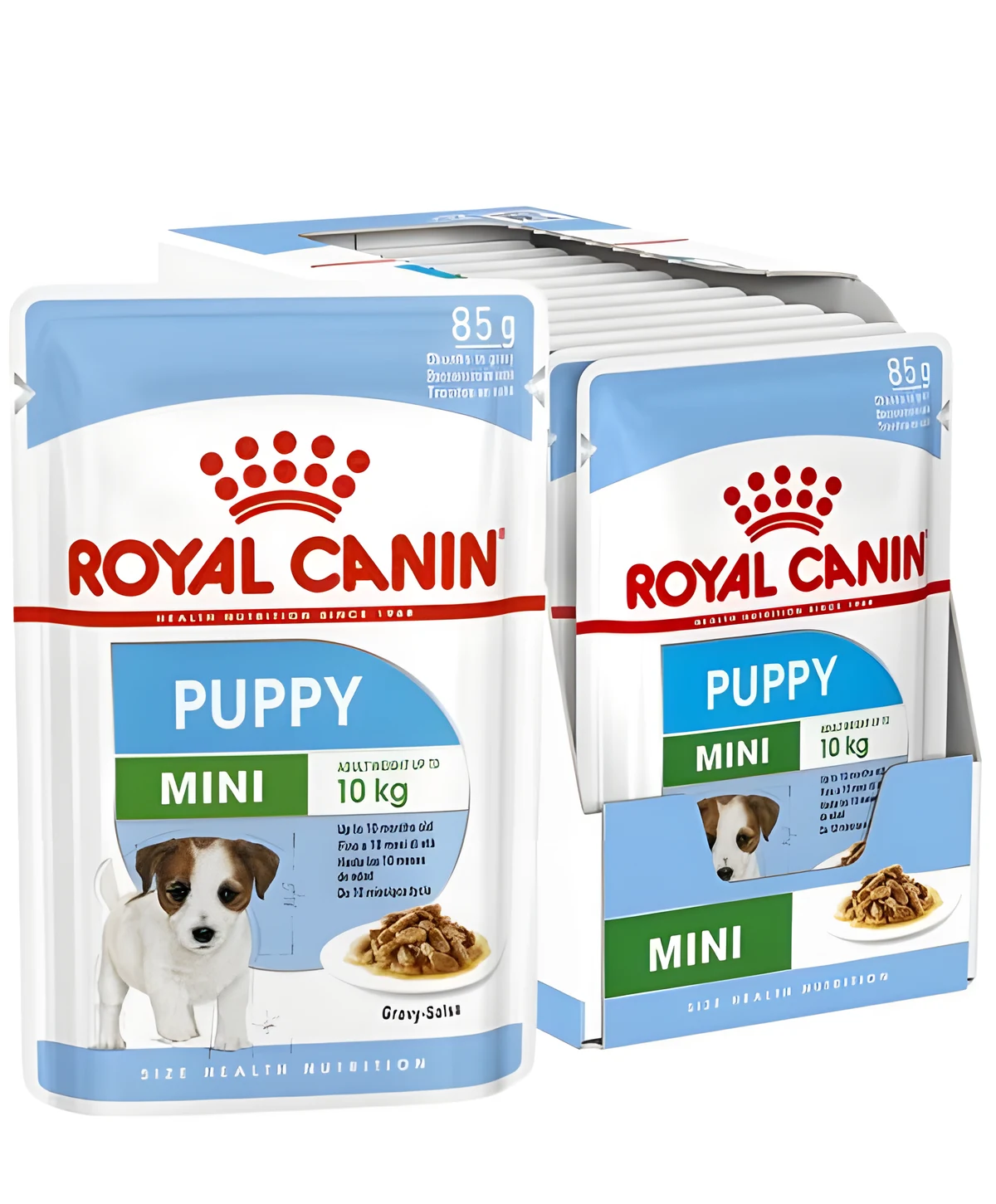 ROYAL CANIN SHN Mini Puppy - 12X85 g
