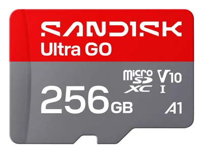 Karta microSD SanDisk Ultra Go 256GB UHS-I 190MB/s