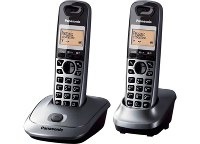 Bezprzewodowy telefon stacjonarny Panasonic KX-TG2512, szary