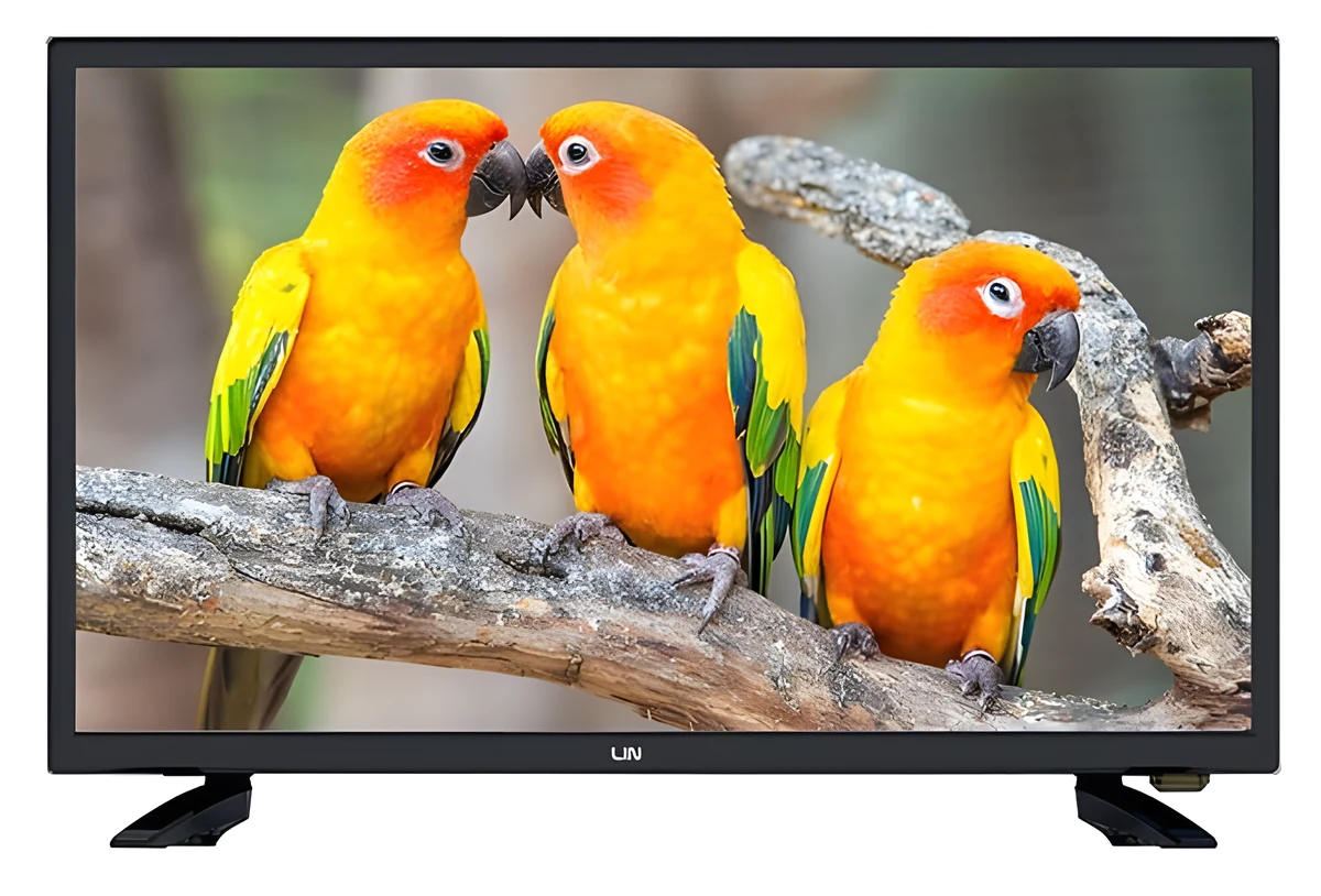 Telewizor Lin 24LHDD06 LED 24'' HD Ready Czarny