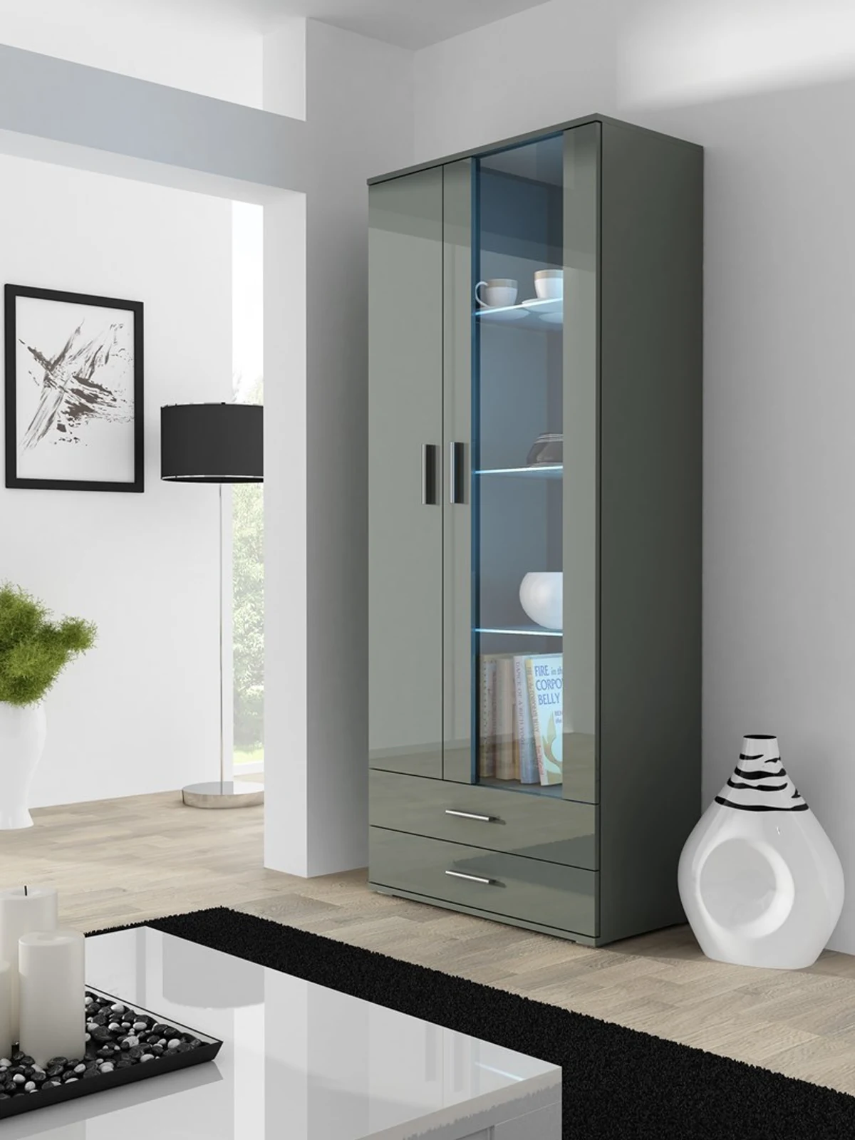 Witryna SOHO S6 2D2S szary/szary połysk