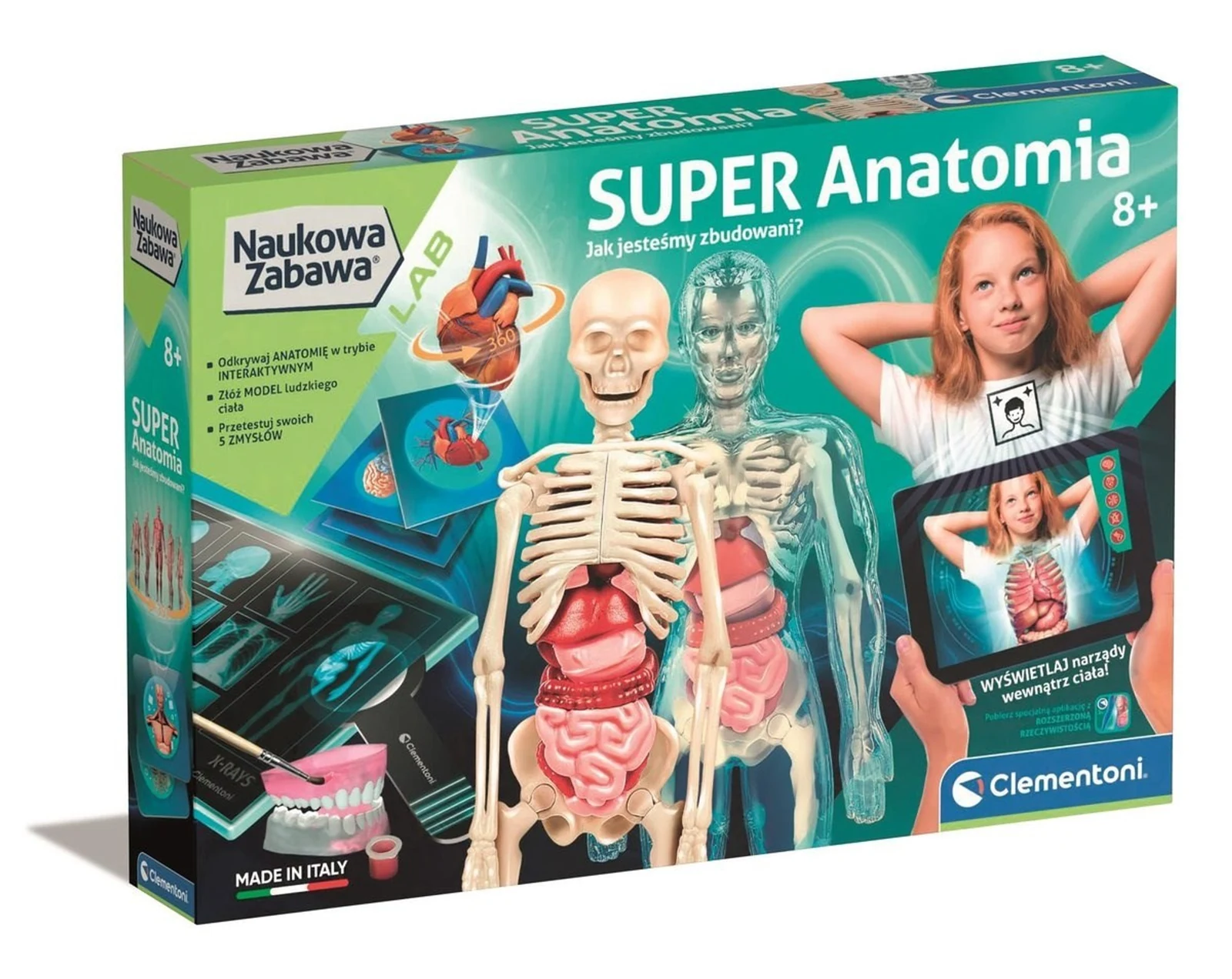 Zestaw Clementoni - Super anatomia — zdjęcie 1 z 4