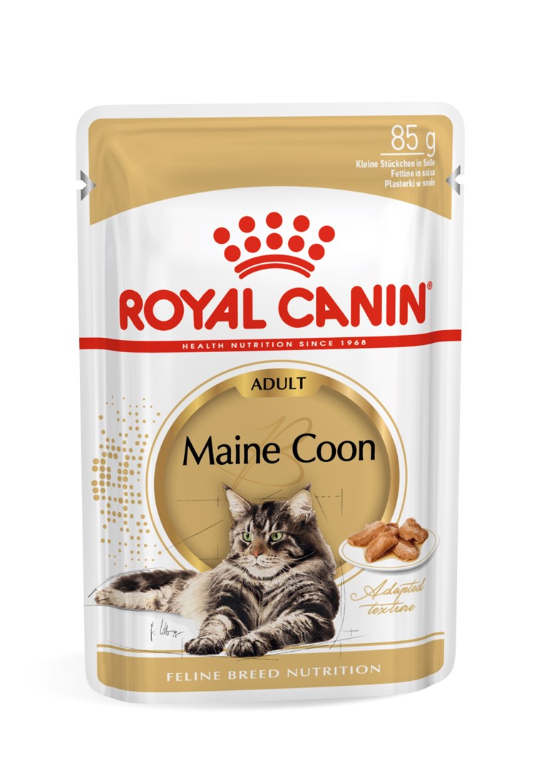 ROYAL CANIN FBN Maine Coon - Mokra Karma 12x85g — zdjęcie 1 z 8