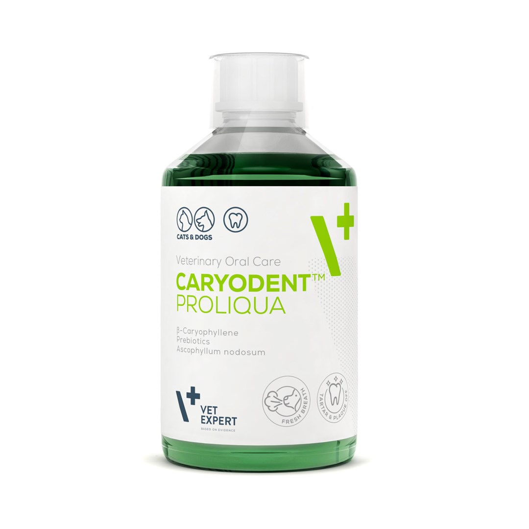 VetExpert Caryodent Proliqua 250ml dla dorosłych