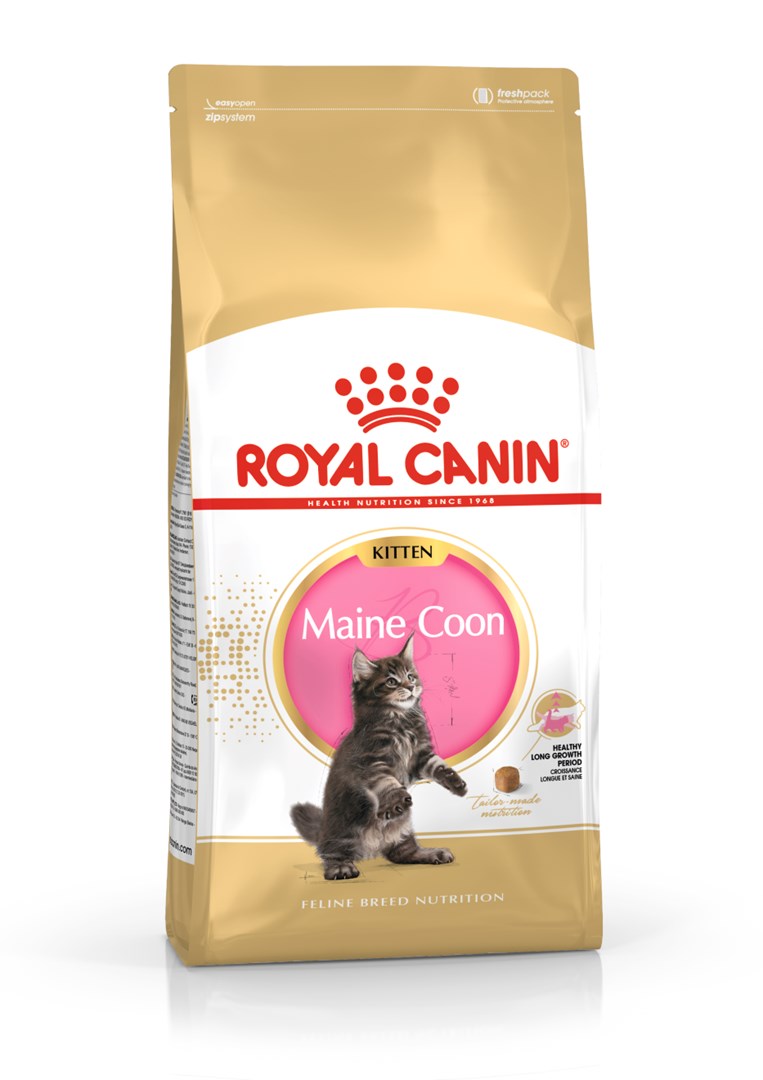 Karma sucha dla kociąt rasy Maine Coon - Royal Canin Maine Coon Kitten 400g — zdjęcie 1 z 8