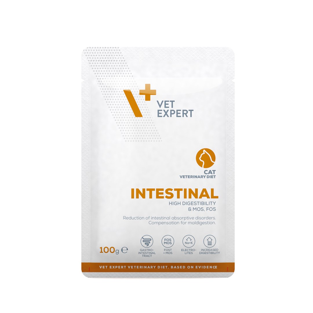 VetExpert Veterinary Diet Intestinal cat 100g