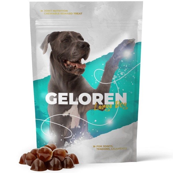 GELOREN Large Dog Suplement 420g - Wspomaganie Stawów — zdjęcie 1 z 7
