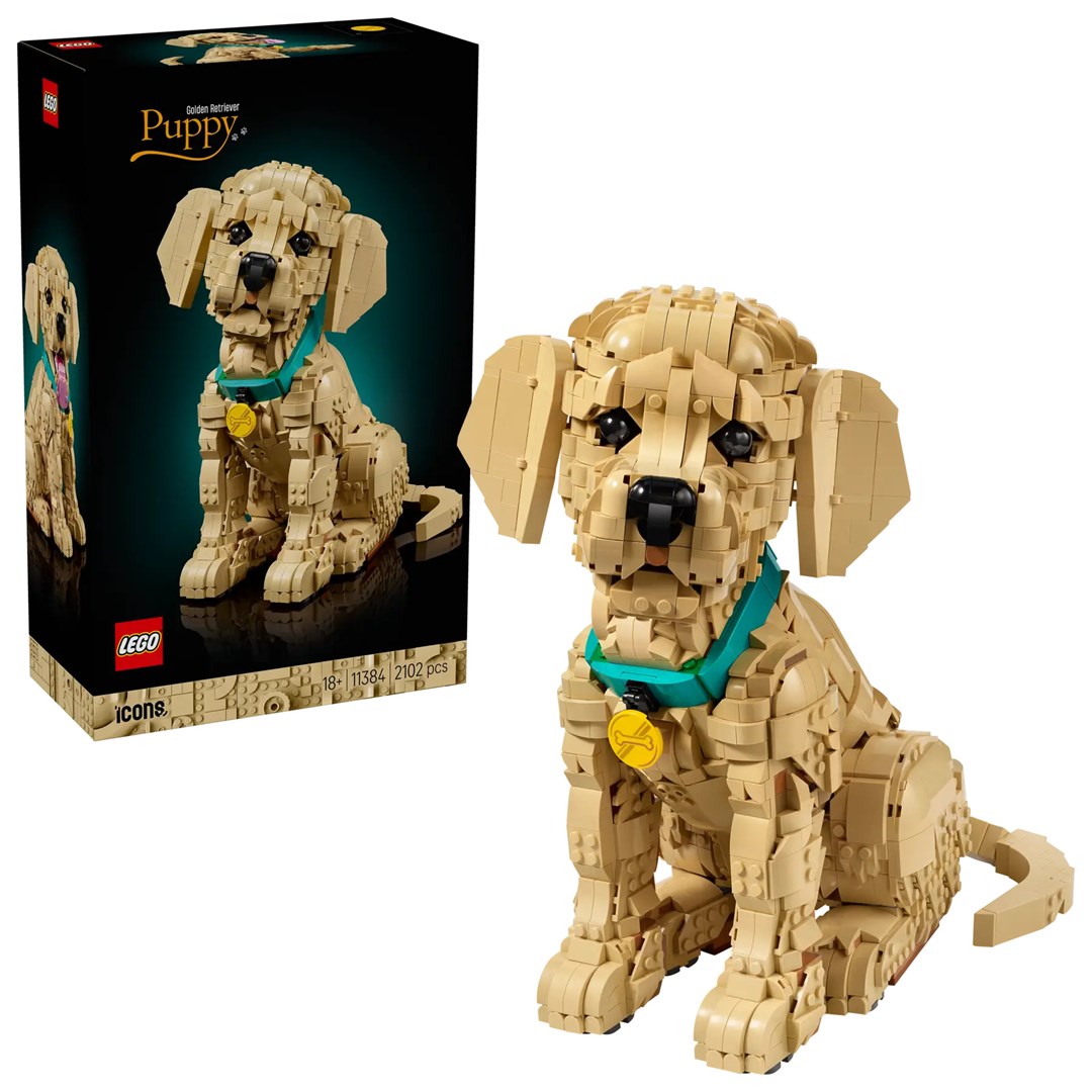 LEGO Icons - Szczeniak golden retriever 11384 — zdjęcie 1 z 8