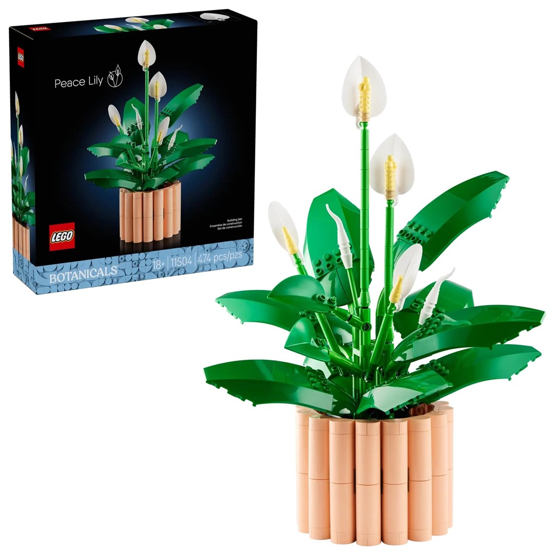 LEGO Botanical Collection 11504 - Skrzydłokwiat — zdjęcie 1 z 8