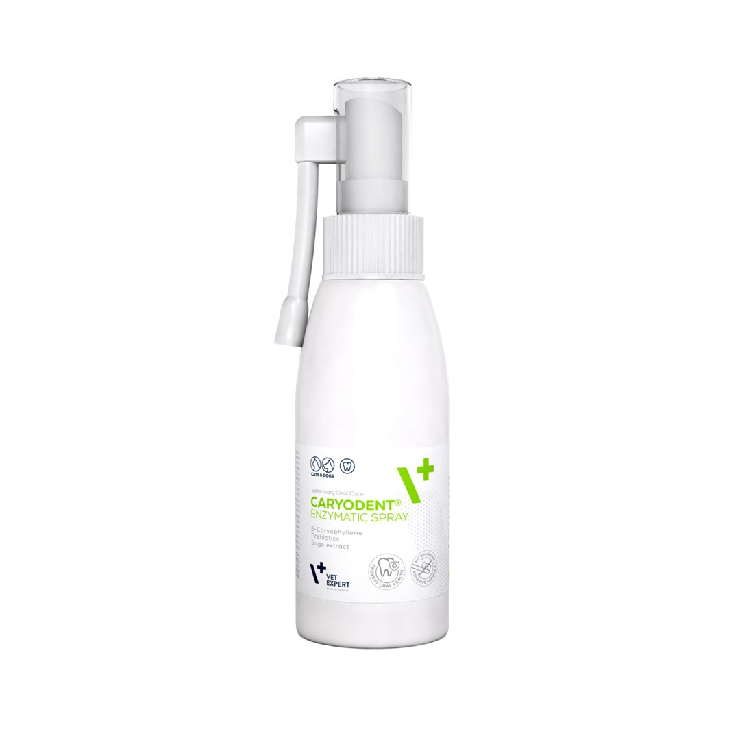 VetExpert Corydent Enzymatic 75g - Higiena Jamy Ustnej
