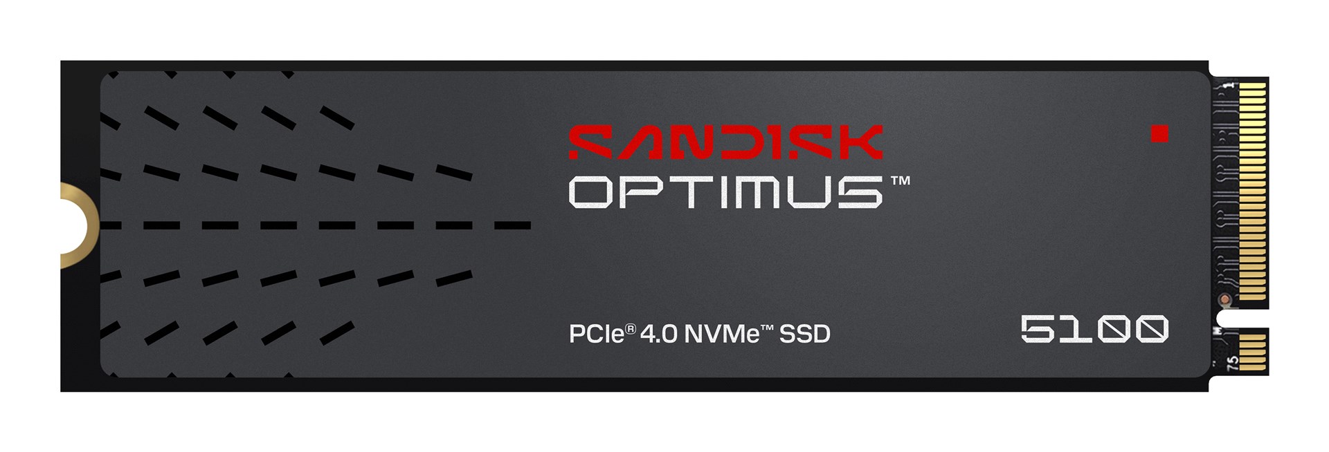 SanDisk Optimus 5100 SSD