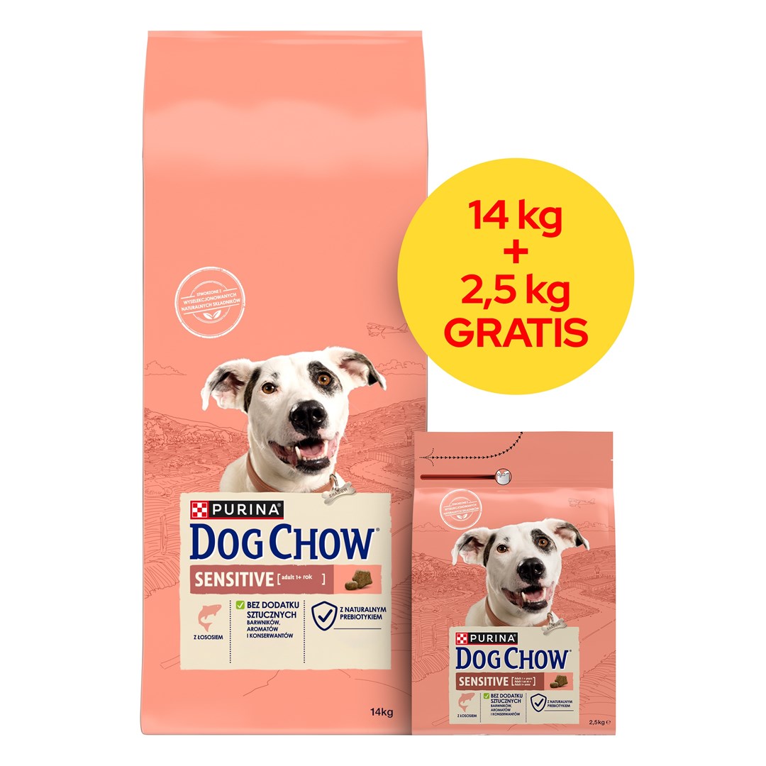 PURINA DOG CHOW SENSITIVE Łosoś 14+2,5kg — zdjęcie 1 z 5