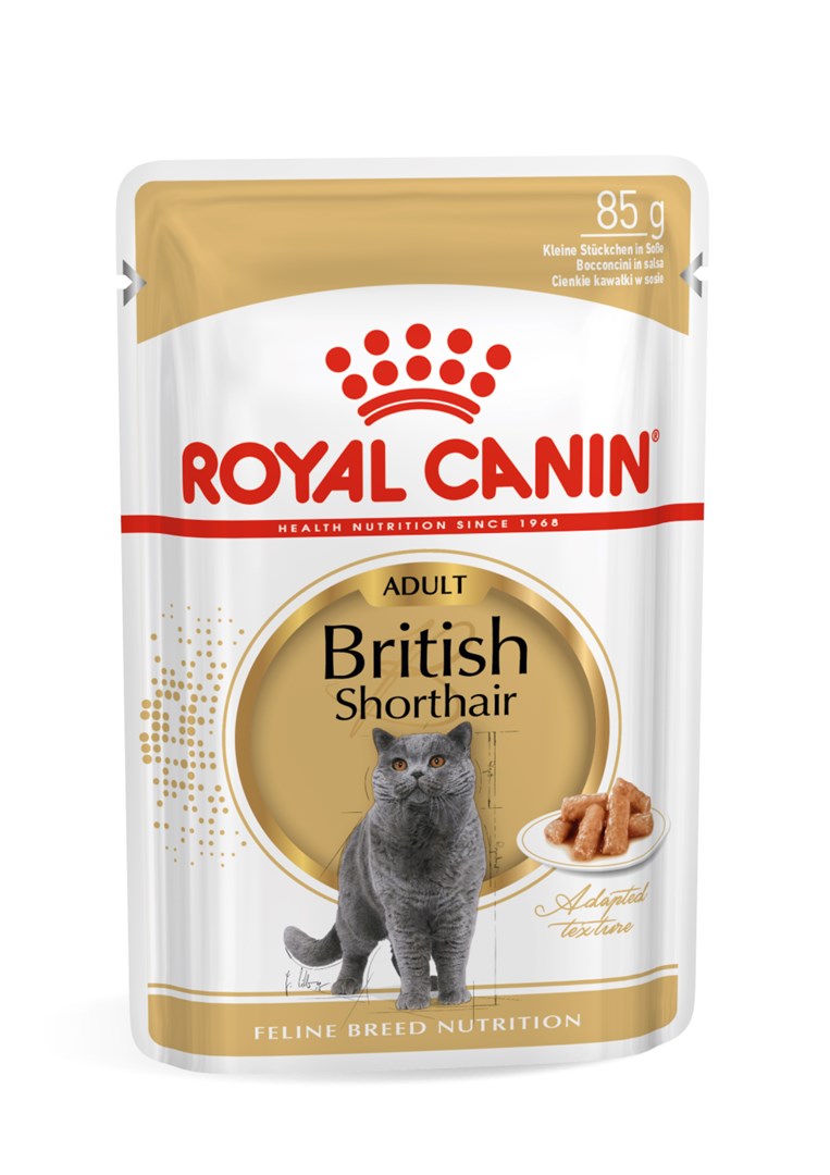 ROYAL CANIN FBN British Shorthair Adult 12x85g — zdjęcie 1 z 8