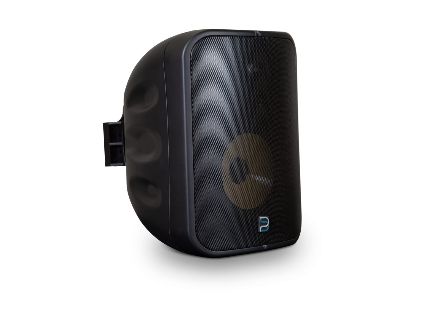 BLUESOUND PROFESSIONAL GŁOŚNIK BSP1000B - Sieciowy — zdjęcie 1 z 4