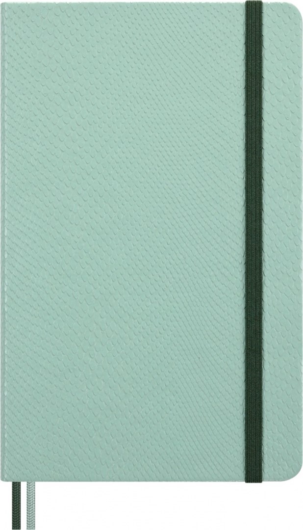Moleskine Notes Year of the Snake. Okladka Sztywna — zdjęcie 1 z 8