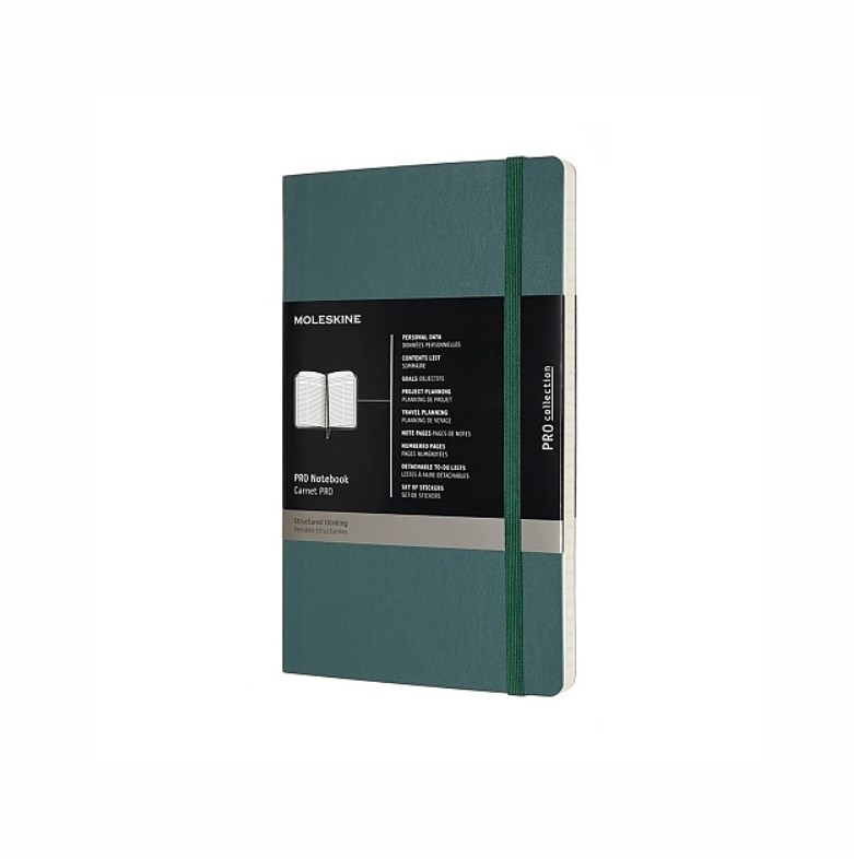 MOLESKINE Notes Professional L, 13x21 cm, 192 stron, zielony — zdjęcie 1 z 6